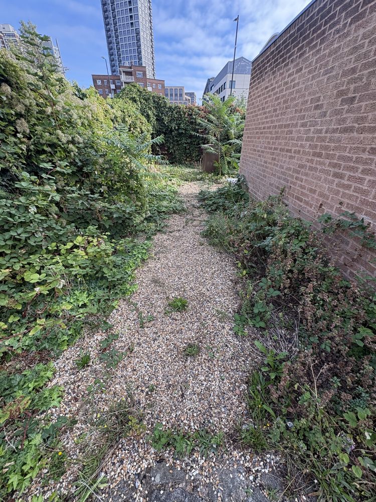 Access path before